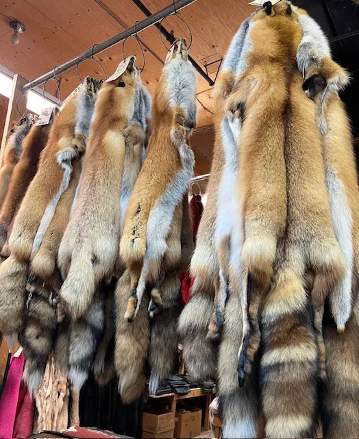 Red Fox Wild Fur