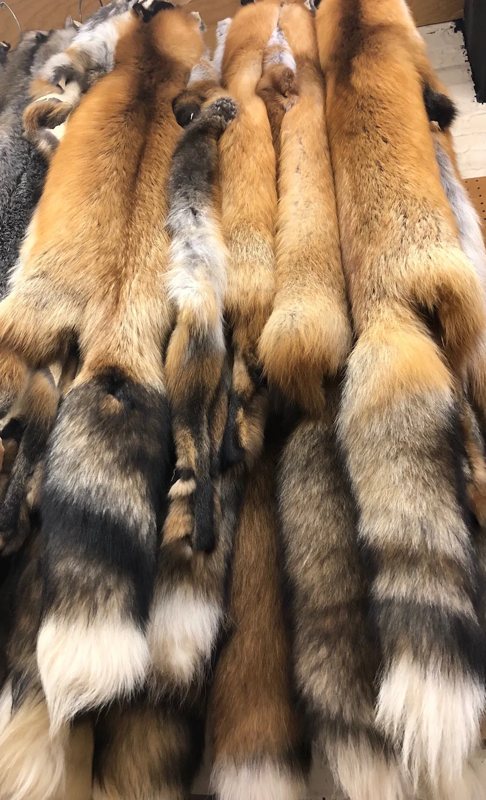 Red Fox Wild Fur